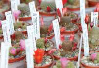 Уникални решения за маркиране