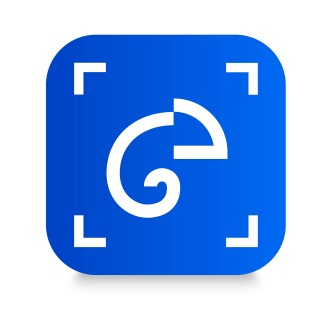 Лого Custom Chameleon